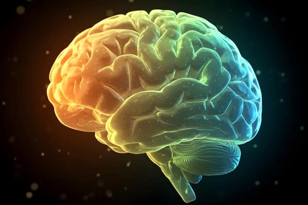 cerebro-colorido